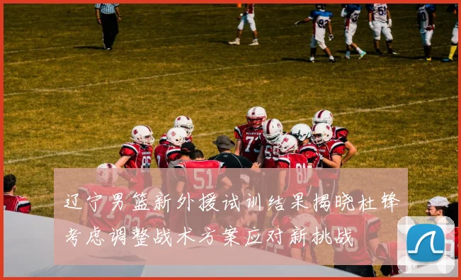 辽宁男篮新外援试训结果揭晓杜锋考虑调整战术方案应对新挑战